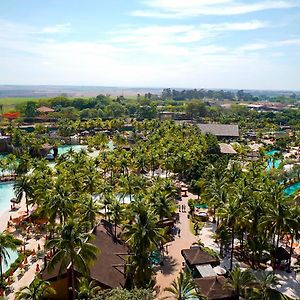 Premier Family Beach King Room